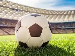 勒沃库森客,击败黑马,年后重返德,欧亿体育官网,APP下载,注册领彩金,官方网站,网站入口