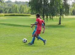 津门虎宣布,西班牙中场,球员萨尔瓦,欧亿体育官网,APP下载,注册领彩金,官方网站,网站入口