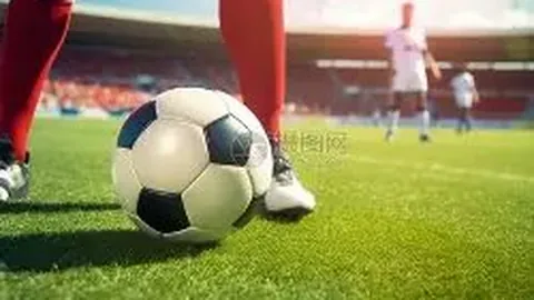 波黑球迷呼吁媒体停止用“龙”称呼国家队