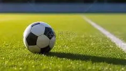 中国女篮在军运会上力克群雄，勇夺金牌